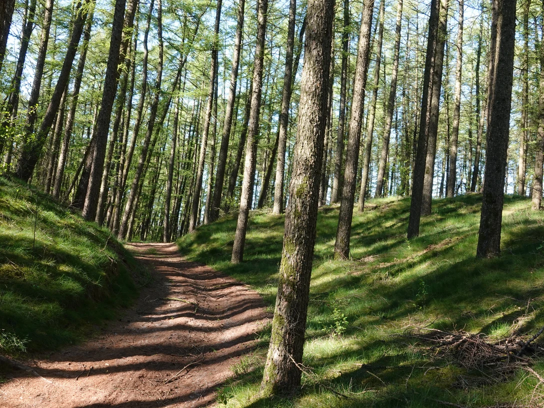 Wandern im Emsland ©Emsland Tourismus