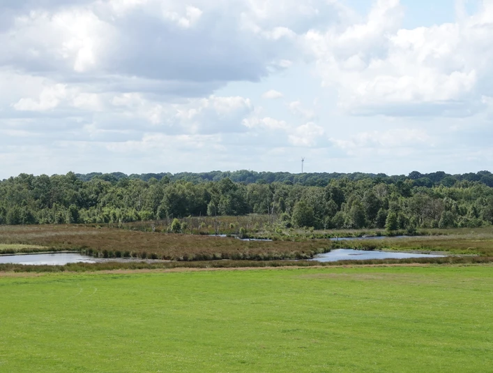 Vreeser Wiesen ©Emsland Tourismus