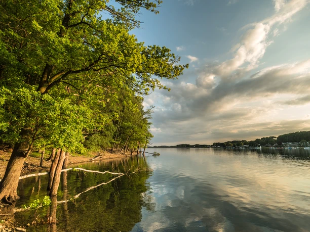 Bevertalsperre Abendsonne über stillen See mit bewaldetem Ufer und sanften Wolken im Himmel, friedliche Atmosphäre.