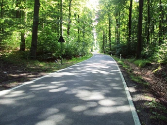 Salzgitter Höhenzug, Wanderweg 28 Abschnitt auf Straße