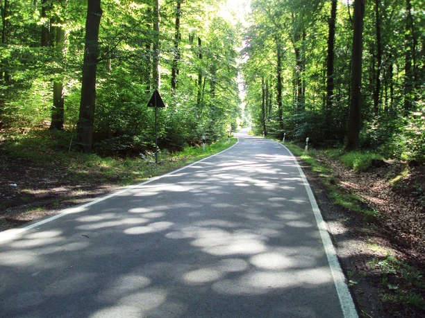Salzgitter Höhenzug, Wanderweg 28 Abschnitt auf Straße
