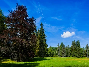 Albertpark Bad Elster