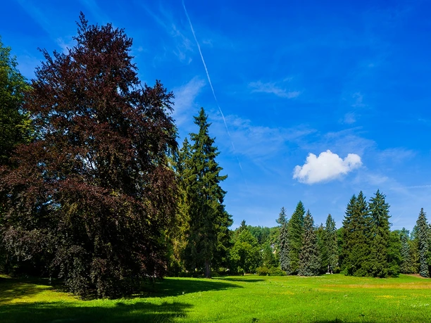 Albertpark Bad Elster