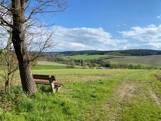 Blick auf Mühlhausen