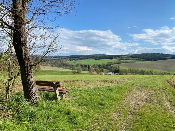 Blick auf Mühlhausen
