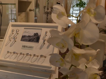 Trauringstudio Becker in Mölln Trauringstudio Becker in Mölln