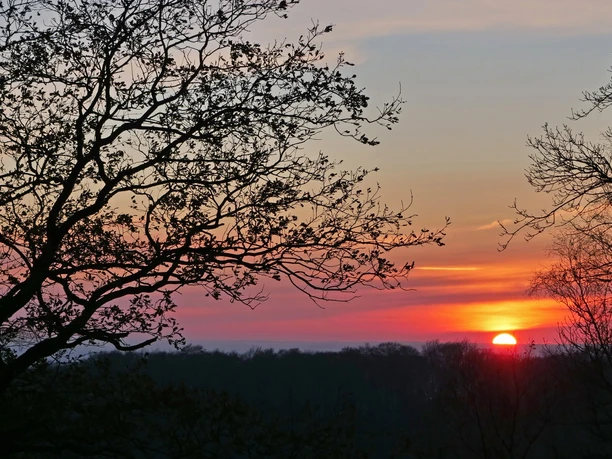Sonnenuntergang auf dem Tönsberg in Oerlinghausen Sonnenuntergang hinter kahlen Bäumen auf dem Tönsberg in Oerlinghausen mit farbenfrohem Himmel.