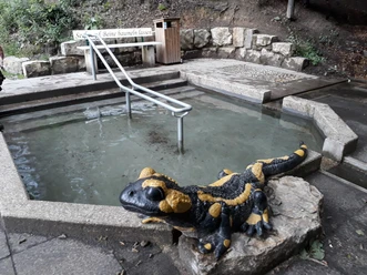 Wassertretbecken in Oerlinghausen Ein einladendes Wassertretbecken mit Steinbänken, umgeben von Natur, mit einer Salamander-Skulptur.