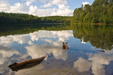 Pinnsee Der Himmel und die Wolken spiegeln sich im Pinnsee, nahe Mölln. Im Wasser liegen Holz-Stücke.