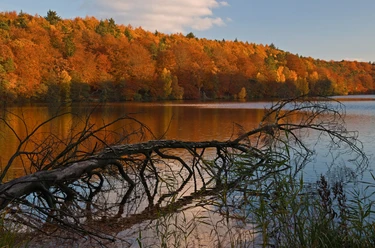 Möllner Schmalsee Der Schmalsee in Mölln im Herbst. Am Ufer stehen Bäume mit bunten Blättern.