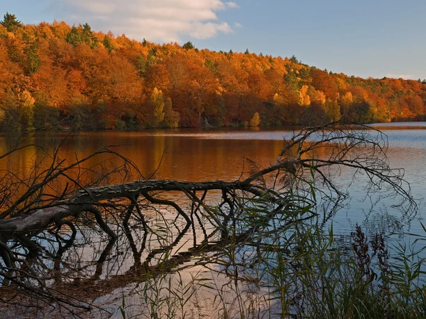 Möllner Schmalsee Der Schmalsee in Mölln im Herbst. Am Ufer stehen Bäume mit bunten Blättern.