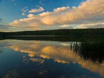 Abendstimmung am Lütauer See Abendstimmung am Lütauer See. Im See spiegelt sich der Himmel mit Wolken. Am gegenüberliegenden Ufer ist ein Wald zu sehen.