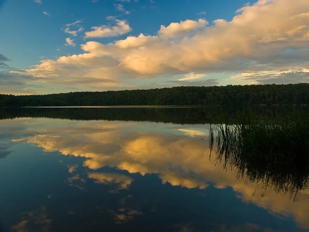 Abendstimmung am Lütauer See Abendstimmung am Lütauer See. Im See spiegelt sich der Himmel mit Wolken. Am gegenüberliegenden Ufer ist ein Wald zu sehen.