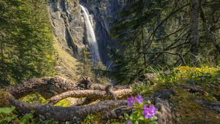 aeschi-fruehling-pochtenfall-sonne-blumen-wasserfall.jpg