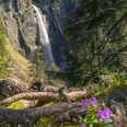 aeschi-fruehling-pochtenfall-sonne-blumen-wasserfall.jpg