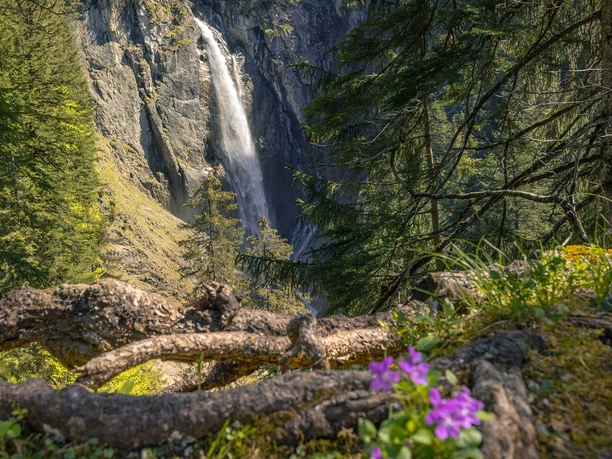 aeschi-fruehling-pochtenfall-sonne-blumen-wasserfall.jpg