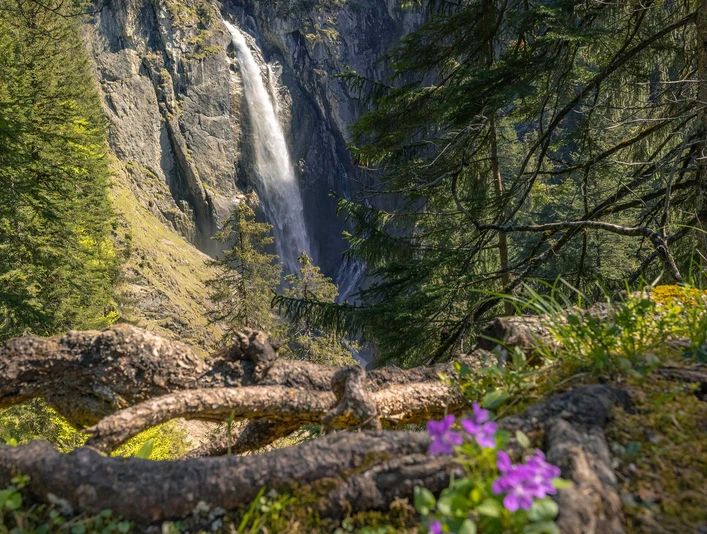 aeschi-fruehling-pochtenfall-sonne-blumen-wasserfall.jpg