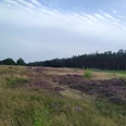 Jägersburger Heide