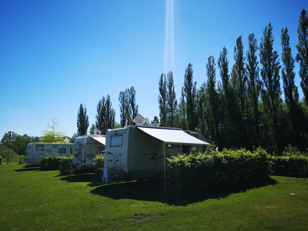 Reisemobilstellplatz_Rhauderfehn_01 Drei weiße Wohnmobile parken auf grünem Rasen vor hohen Bäumen im strahlenden Sonnenschein.