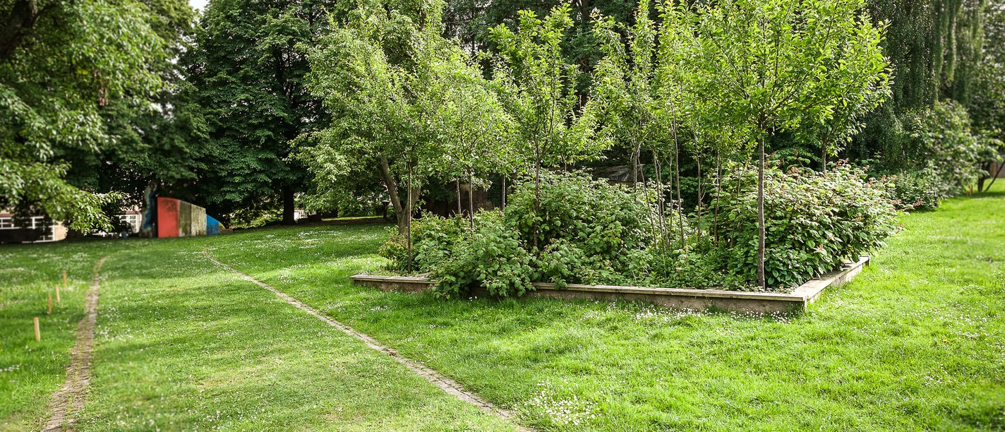 Parkanlage mit Wiesenfläche und einem viereckigen, dicht bepflanztem Beet in der Mitte.