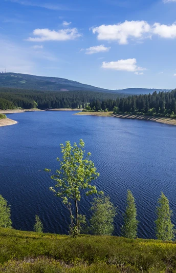 Eckerstausee_Brockenblick (2).jpg