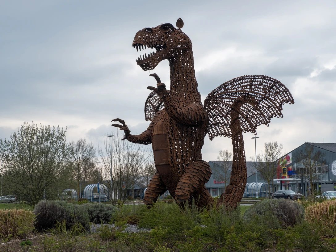 Drache Godart Wachtberg 2021 Frühling Wachtberg