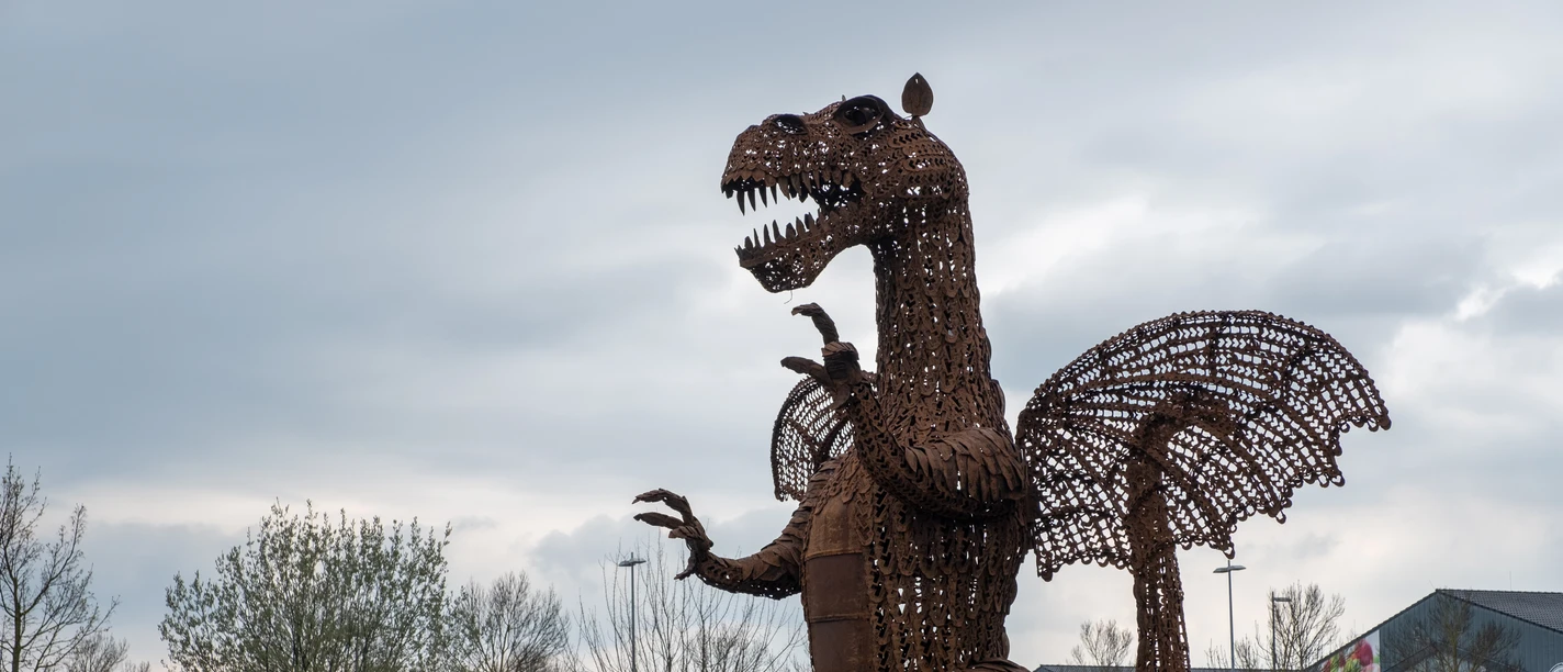 Drache Godart Wachtberg 2021 Frühling Wachtberg