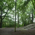 Dürings Park Freilichtbühne Freilichtbühne in bewaldeter Umgebung mit hölzernen Sitzstufen und lichtdurchfluteten Baumkronen.