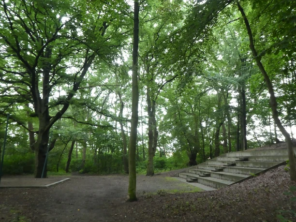 Dürings Park Freilichtbühne Freilichtbühne in bewaldeter Umgebung mit hölzernen Sitzstufen und lichtdurchfluteten Baumkronen.