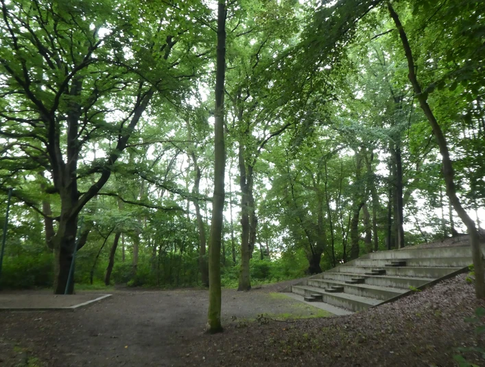 Dürings Park Freilichtbühne Freilichtbühne in bewaldeter Umgebung mit hölzernen Sitzstufen und lichtdurchfluteten Baumkronen.