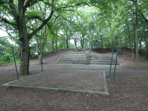 An open-air stage with tiered seating, surrounded by a dense, green forest.