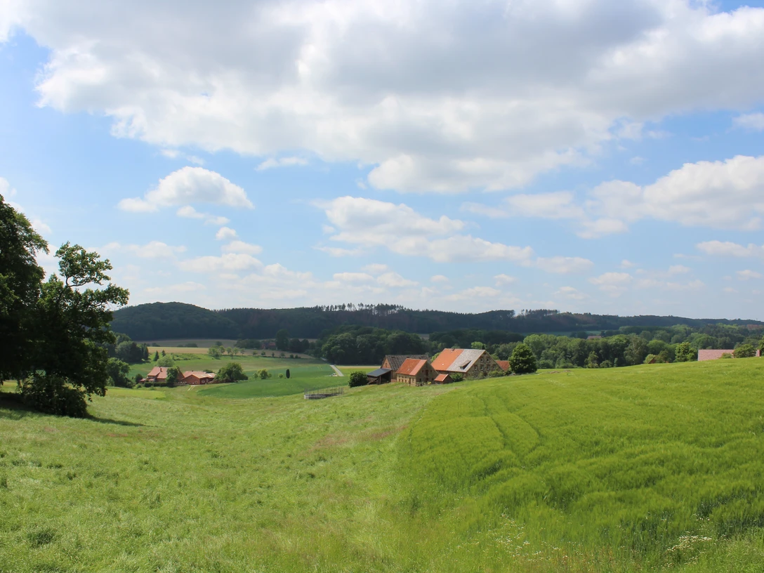 Blick vom Urberg in das Holperdorper Tal
