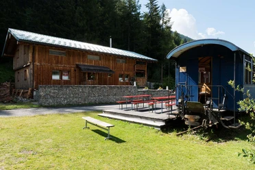 Forest Lodge & Camping