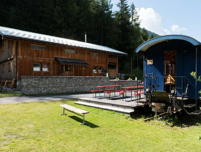 Forest Lodge & Camping