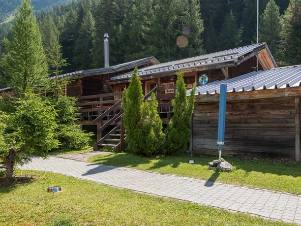 Forest Lodge & Camping