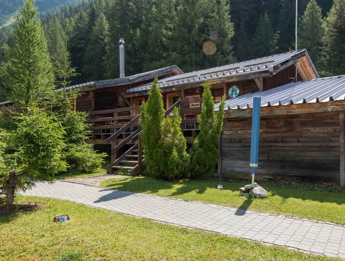 Forest Lodge & Camping