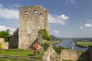 Blick von der Burgruine Donaustauf Blick von der Burgruine Donaustauf auf die Donau mit den Ausläufern des Vorderen Bayerischen Waldes im Hintergrund
