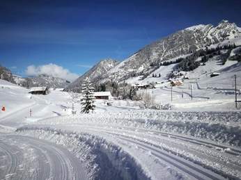 Blick auf Loipe Grimmialp