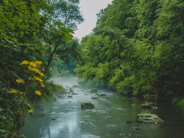 vogtland-panoramaweg-06.jpg Unterwegs auf dem Vogtland Panorama Weg | Foto: Annemarie Strehl