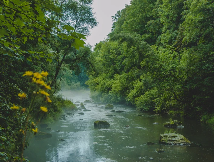 vogtland-panoramaweg-06.jpg Unterwegs auf dem Vogtland Panorama Weg | Foto: Annemarie Strehl