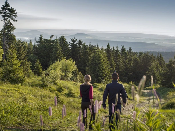 Die Frühlingswanderwochen sind im Erzgebirge angekommen | Foto: Katja Fouad Vollmer Die Frühlingswanderwochen sind im Erzgebirge angekommen | Foto: Katja Fouad Vollmer