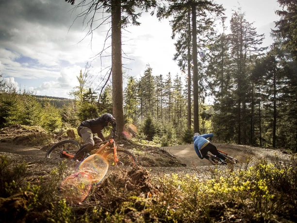 flowtrail-willingen-rasant-bergab c) leopold-hermann-mtb-zone-bikepark-willingen.jpg