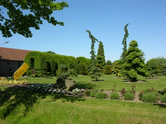 DSCN6732.JPG
