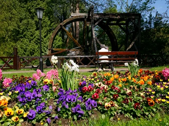 Historisches Wasserrad II.JPG