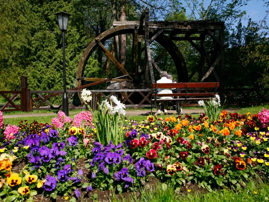 Historisches Wasserrad II.JPG