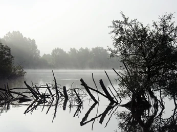 Nordhäuser Kiesgewässer