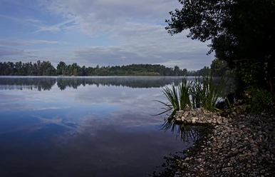 Nordhäuser Kiesgewässer Abenddämmerung