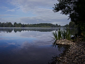 Nordhäuser Kiesgewässer Abenddämmerung