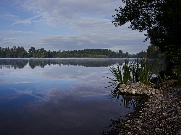 Nordhäuser Kiesgewässer Abenddämmerung
