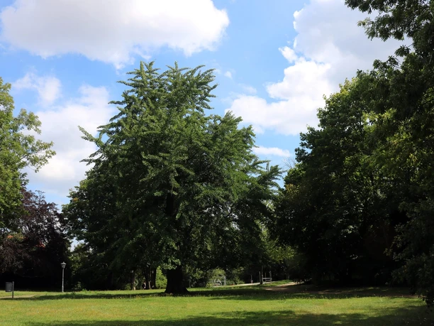 Nordhausen-Park-Promenade